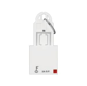 ROMA 32A DP KEY TAG